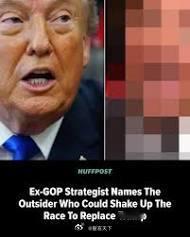这篇文章围绕共和党策略师 Rick Wilson 的一个核心判断展开：在 Don