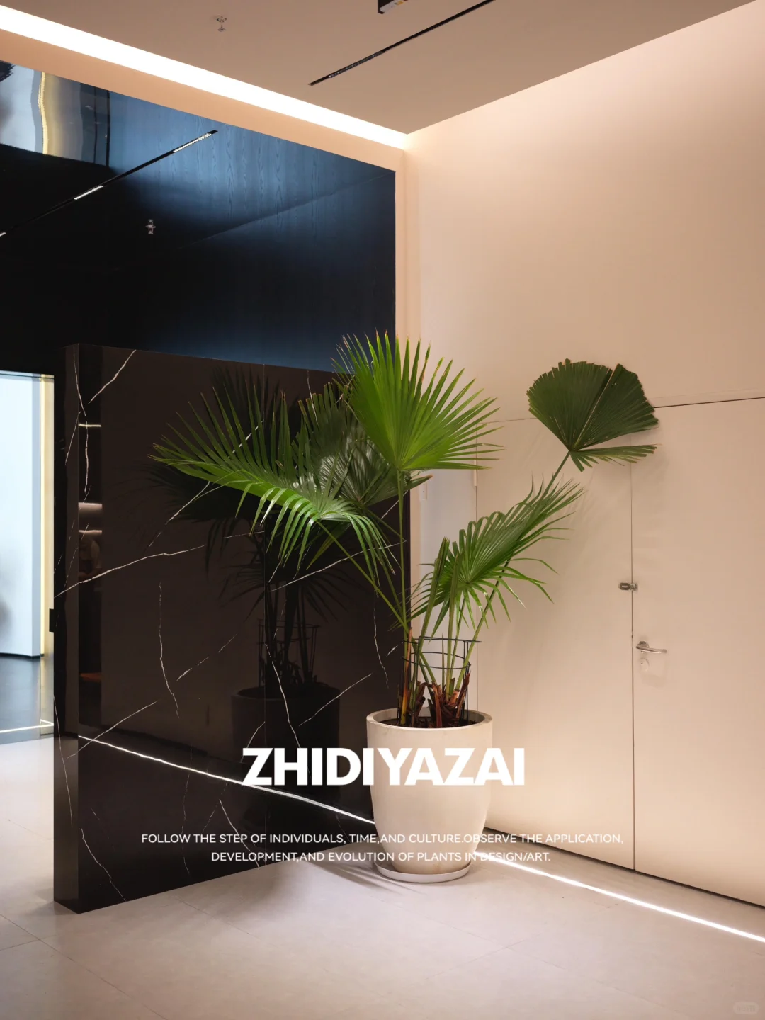 WG薇阁创影｜办公工区植物景观