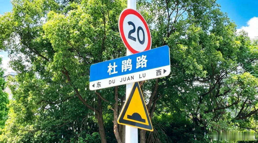 【南昌杜鹃路正式通车 】近日，南昌经开区杜鹃路顺利建成通车，进一步完善区域市政路
