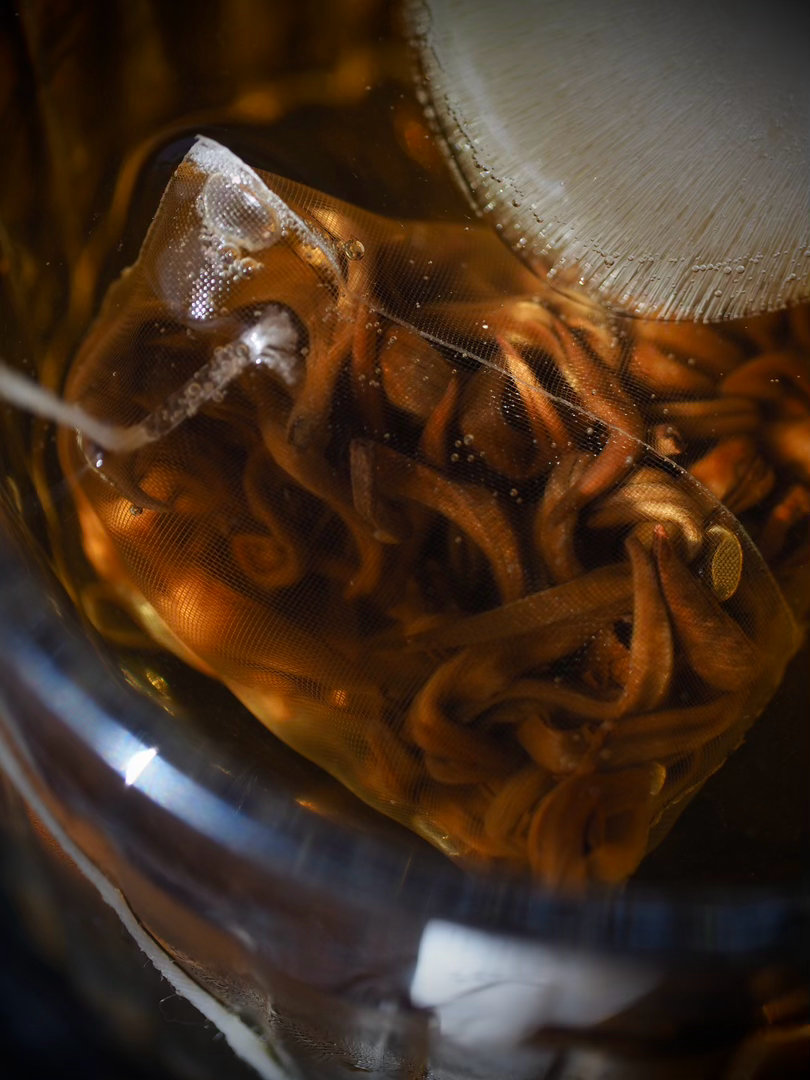 cold brew tea 