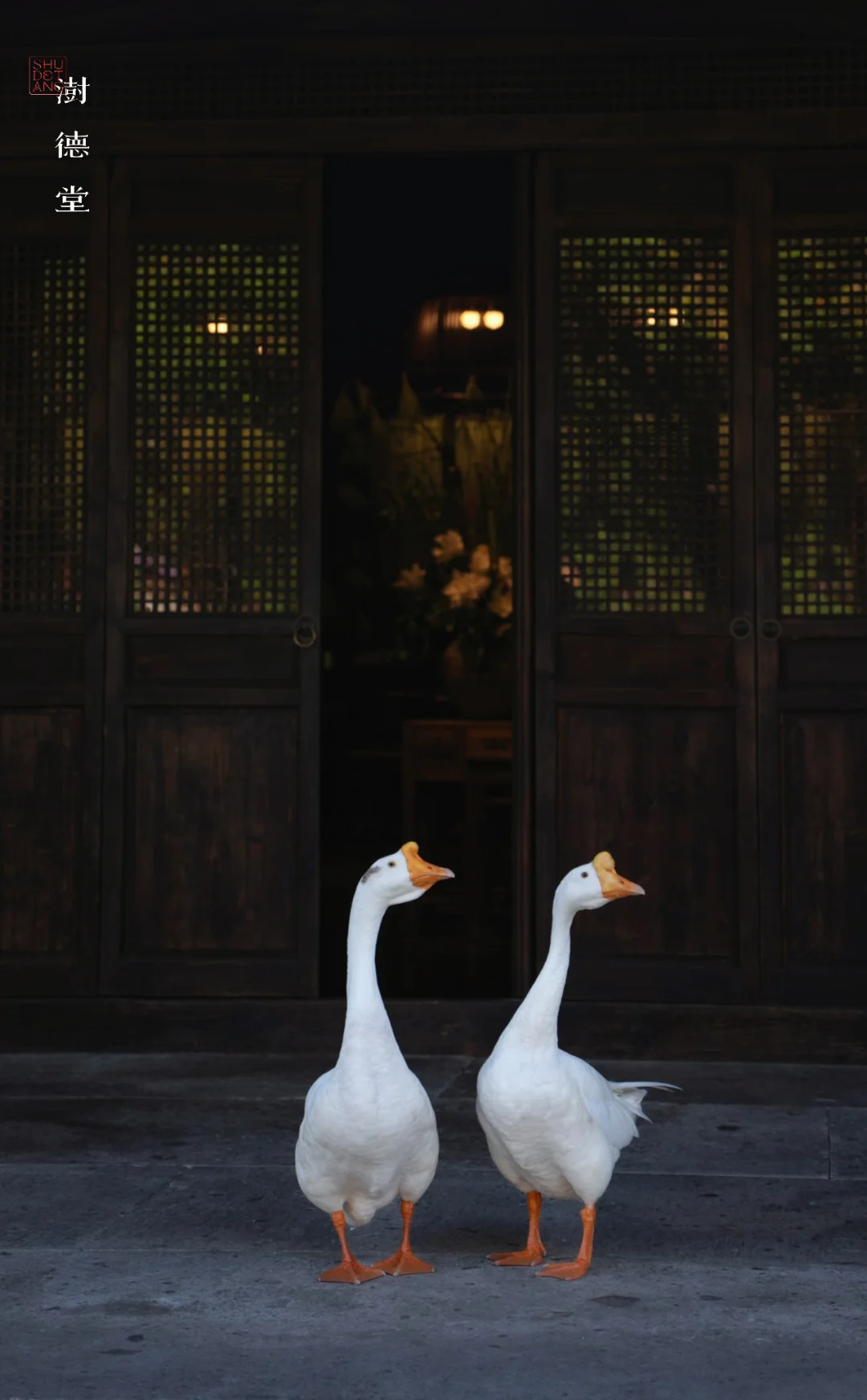 澍德堂与自然生态“互为底色”