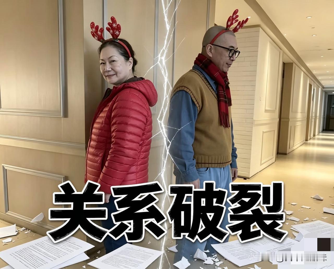 还是只有小s老公掌握了s家的使用说明书啊，三姐妹和老母亲和每个女婿都有不同的官司
