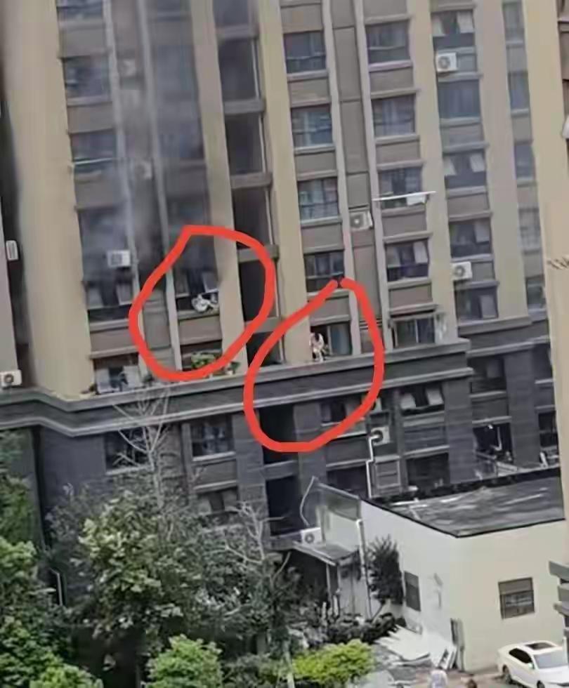 这个邻居不能过去托举一下吗？？？消防云梯，爬杆，小梯子，被子，甚至是软垃圾哪样都