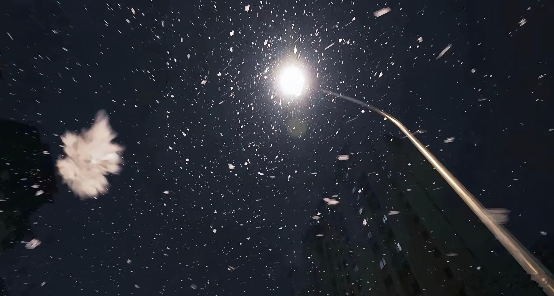 随手拍没了想说的话 也没了期待 只有自己知道心里多了一个结 一个永远打不开的结 