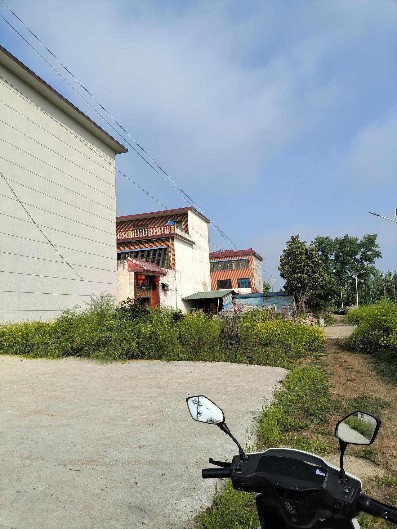 如今有些年轻人的想法着实令人费解，明明有条件找对象结婚，却偏偏选择单身。这样的情