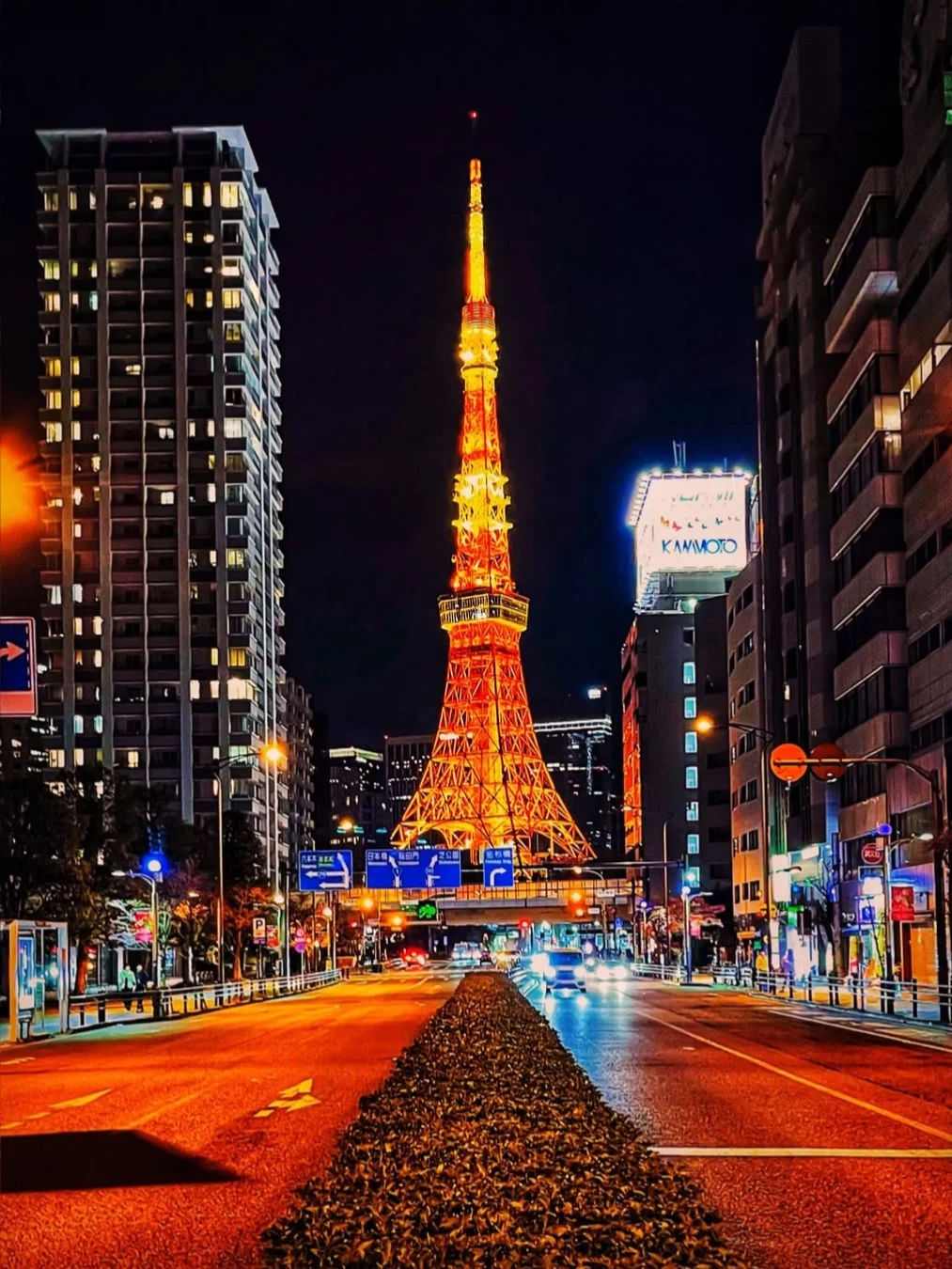 有什么国内很贵 日本却很便宜的东西