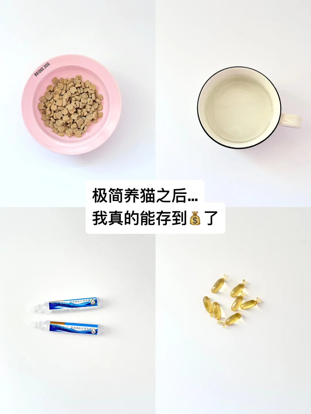 当我开始极简养猫后…我居然存到💰了…