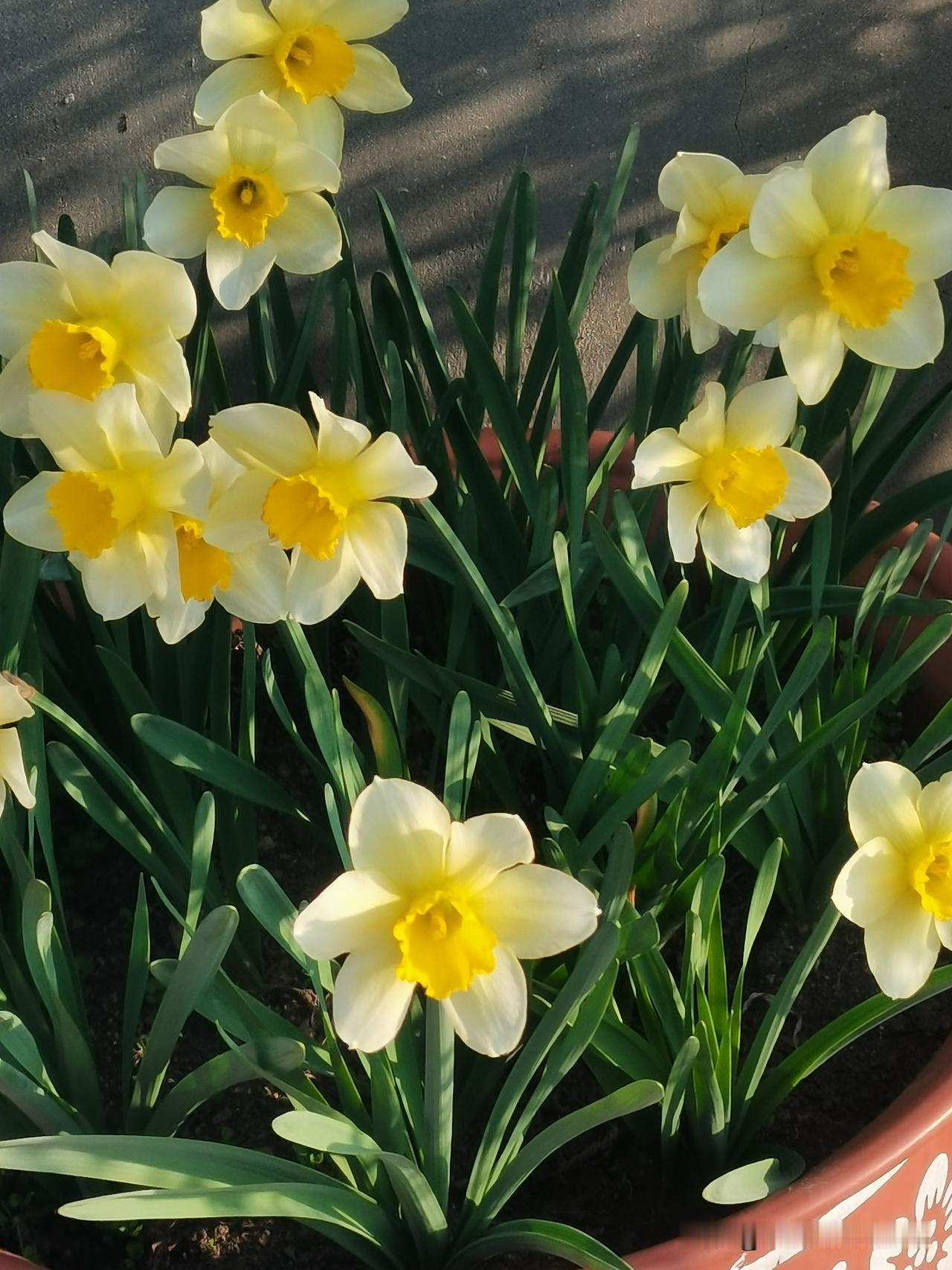 朋友帮忙介绍了一份钟点工的活。
我仔细分析了一下，做出了一个得罪朋友的决定…
朋