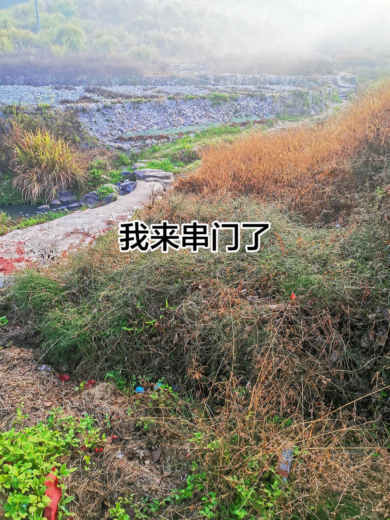 创作伙伴计划 创作者中心 创作灵感