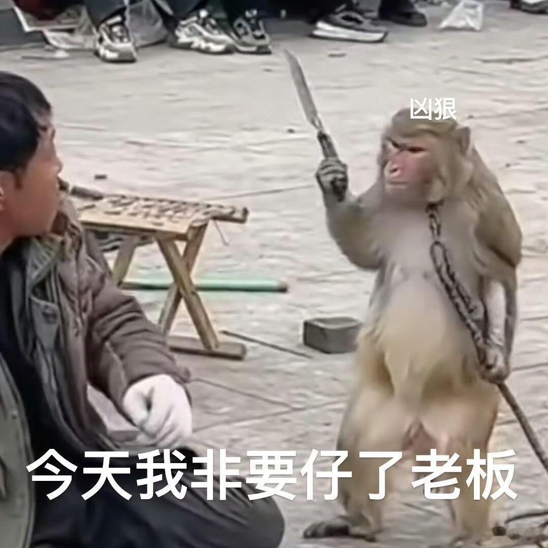 最尊重猴的剧组出现了细节见修养，年会2这份对猴子的尊重藏不住，字幕特意标明无伤害