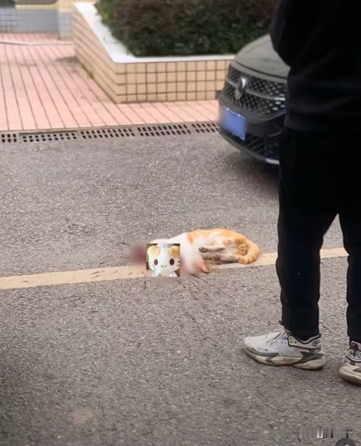 当着学生的面施暴，这是何等恶劣的示范
刷视频看到邵阳县第二高级中学的一位老师当着