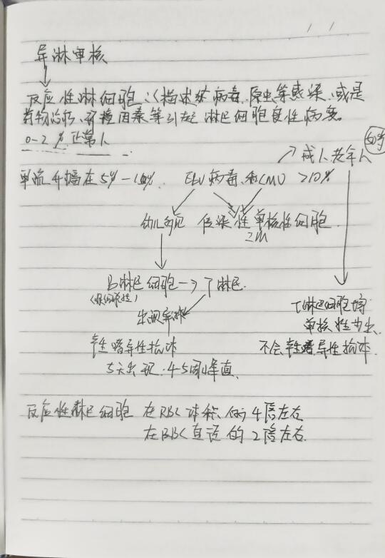 异常淋巴细胞审核