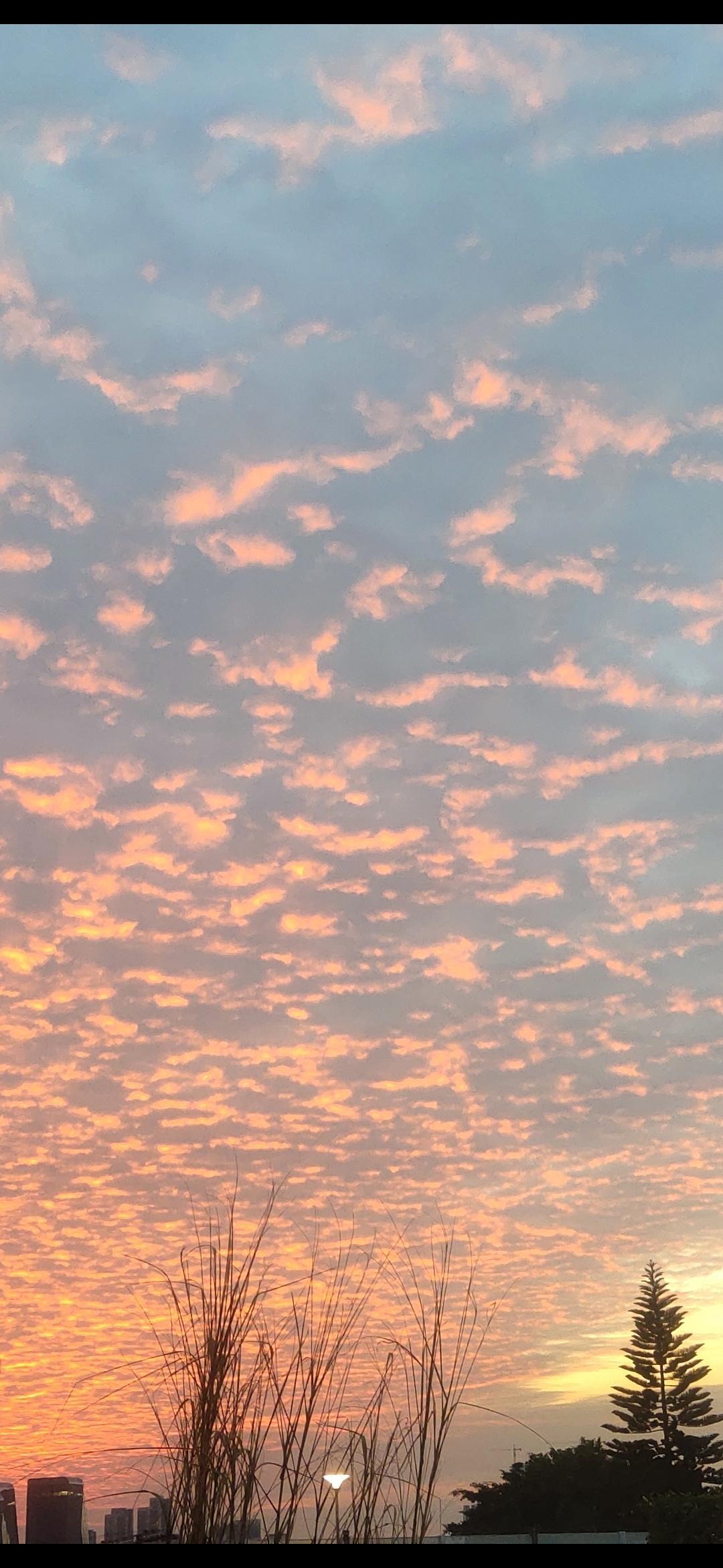 晒一晒手机里的天空美图🌌绝美天空杀疯啦！今日抬头，邂逅一场视觉盛宴！湛蓝如宝石