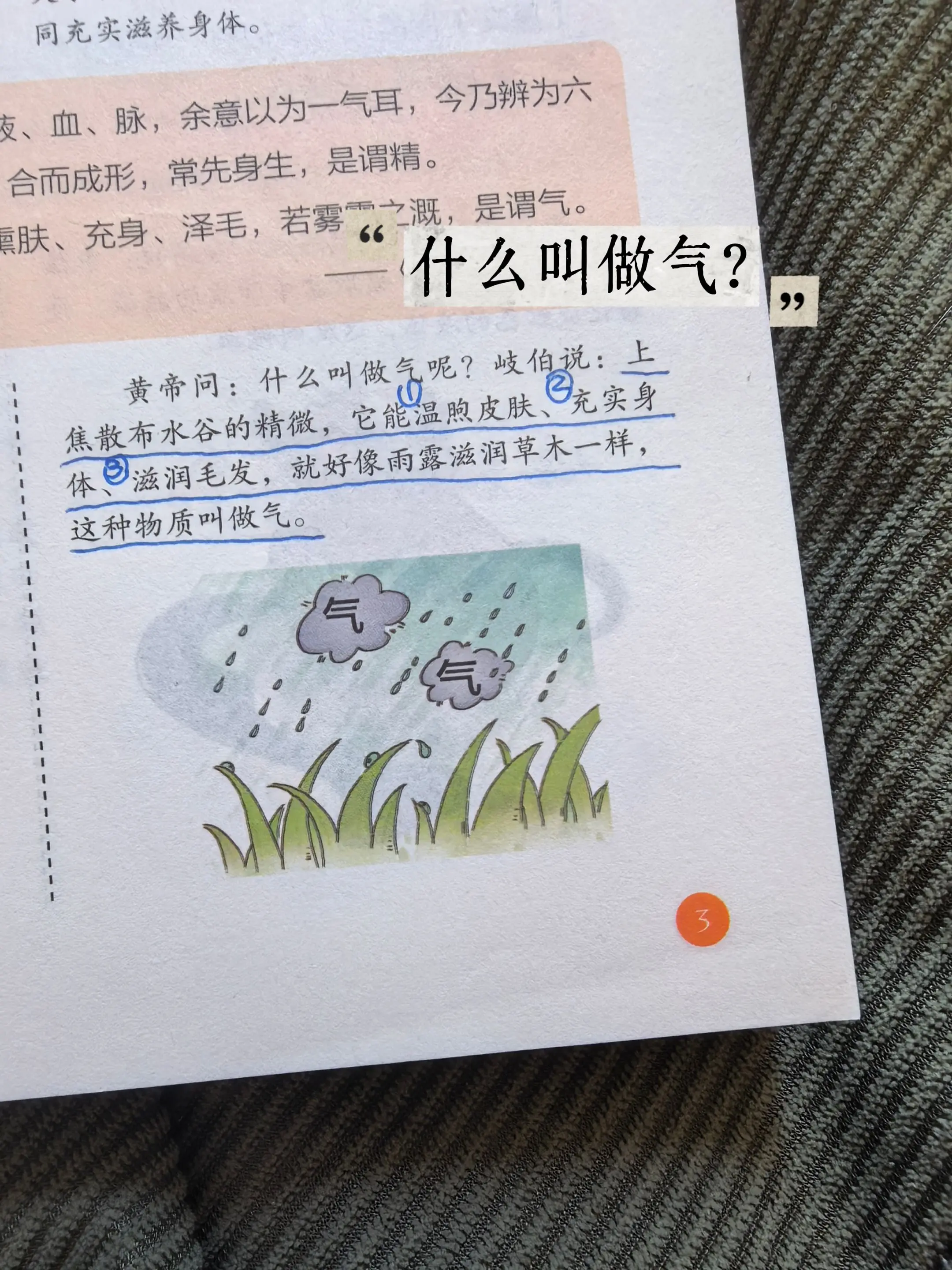 上焦散布水谷的精微， 它能温煦皮肤、充实身体滋润毛发， 就好像雨露滋润...