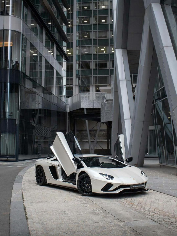看到Aventador S这