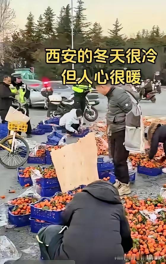 近日，一辆沙糖桔的货车在西安翻车后，200多箱沙糖桔洒了一地，车主慌了，这可怎么