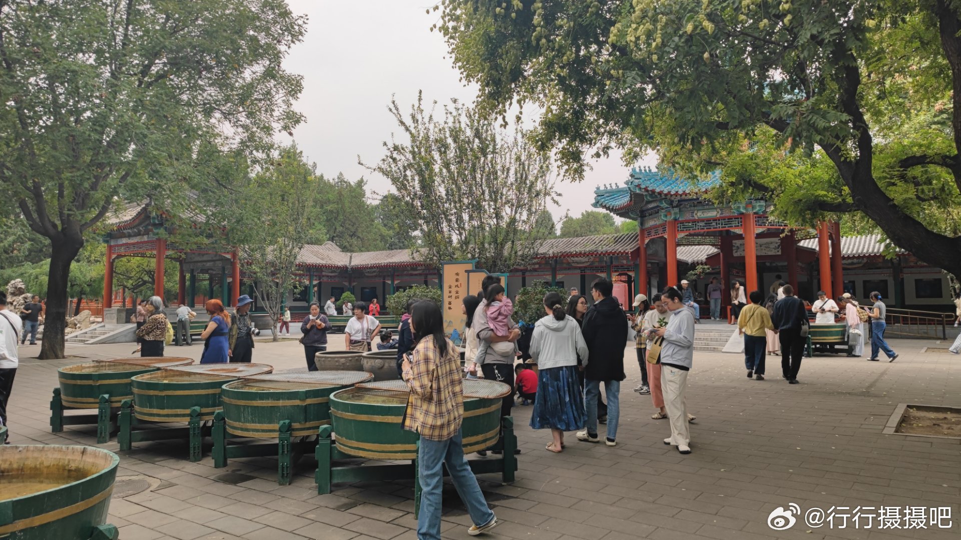北京中山公园金鱼展摄影​​​