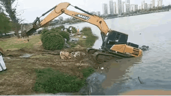 自救失败～[打脸]