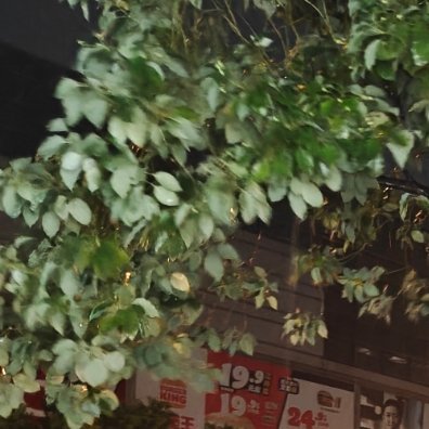 阳光信用 🌞阳光信用 每日一善斗志和干劲很重要，但更重要的，是不断坚持的努力。