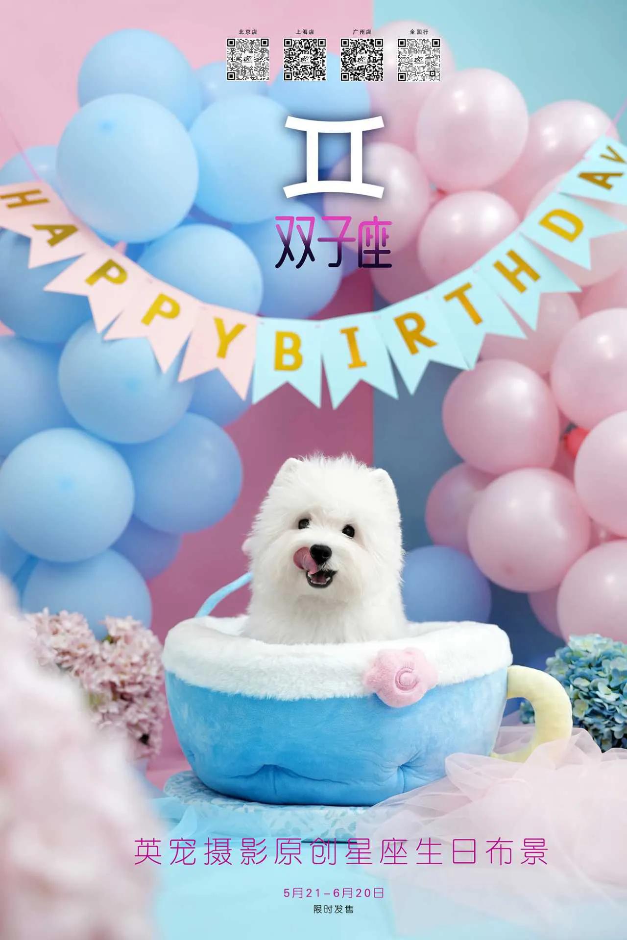 有史以来最好看！！
英宠双子座原创生日布景出片啦
给5月21-6月20日过生日的