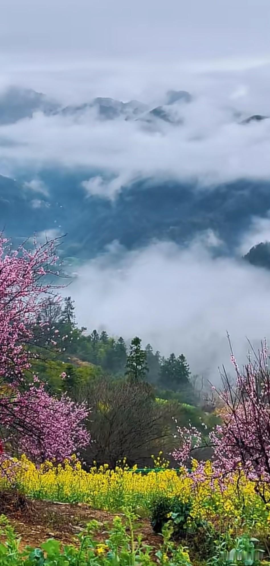 七律•泪问青天
浊泪倾盆问九天，
何由苦厄总相缠。
寒窗十载功名误，
孤旅半生歧
