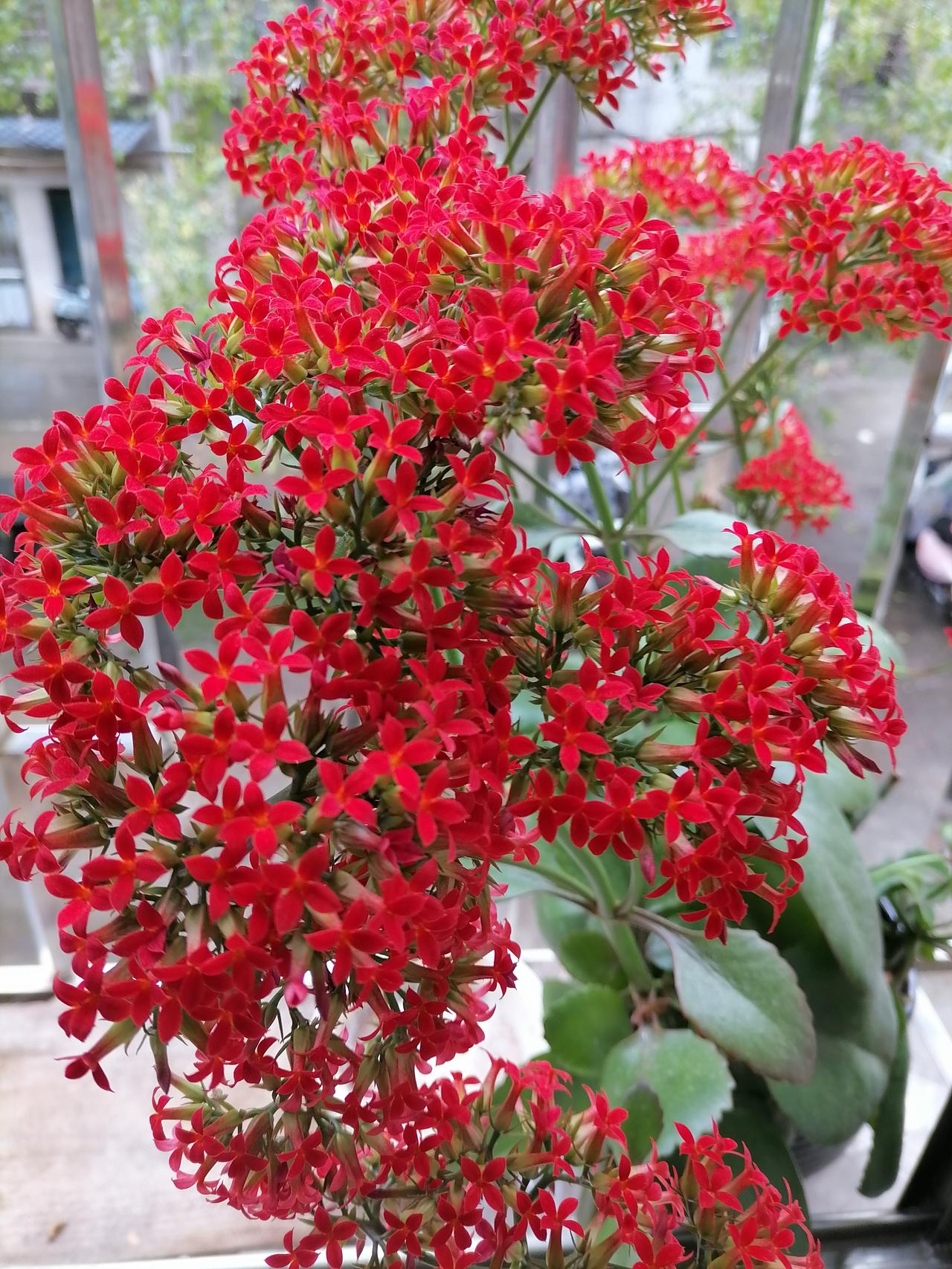 菲律宾在南海不断挑衅中国，有内外多重因素。从外部看，美国是重要推手，菲律宾妄图借