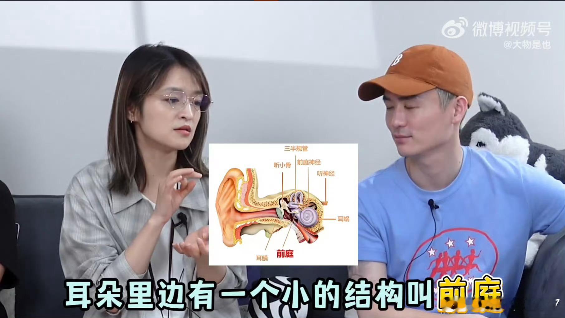 三甲大夫给晕车人支了几招晕车的宝子们看过来～ 原来坐车晕乎乎是大脑“中毒警报”乱