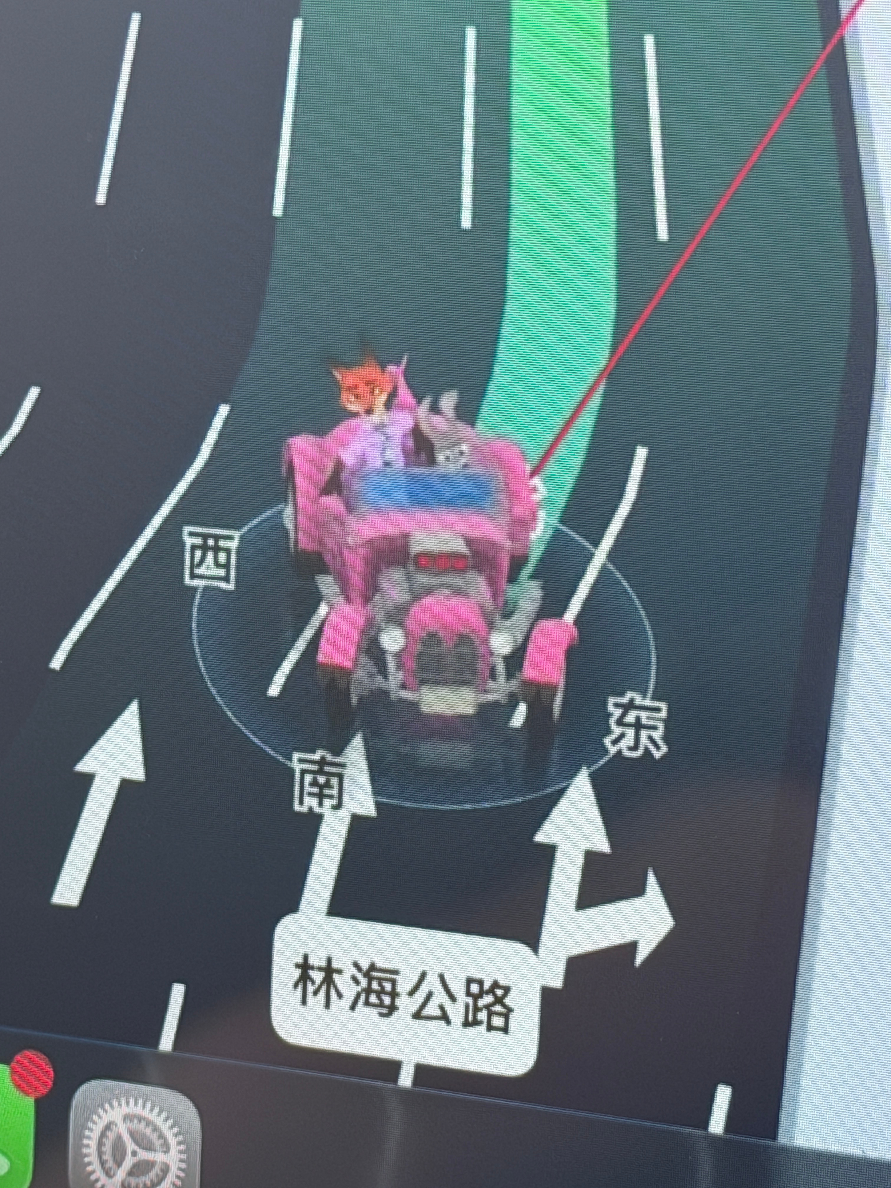忙忙碌碌的一天 回家想起自己痛花8.8 买了一个无用但可爱的导航车标突然又浑身有