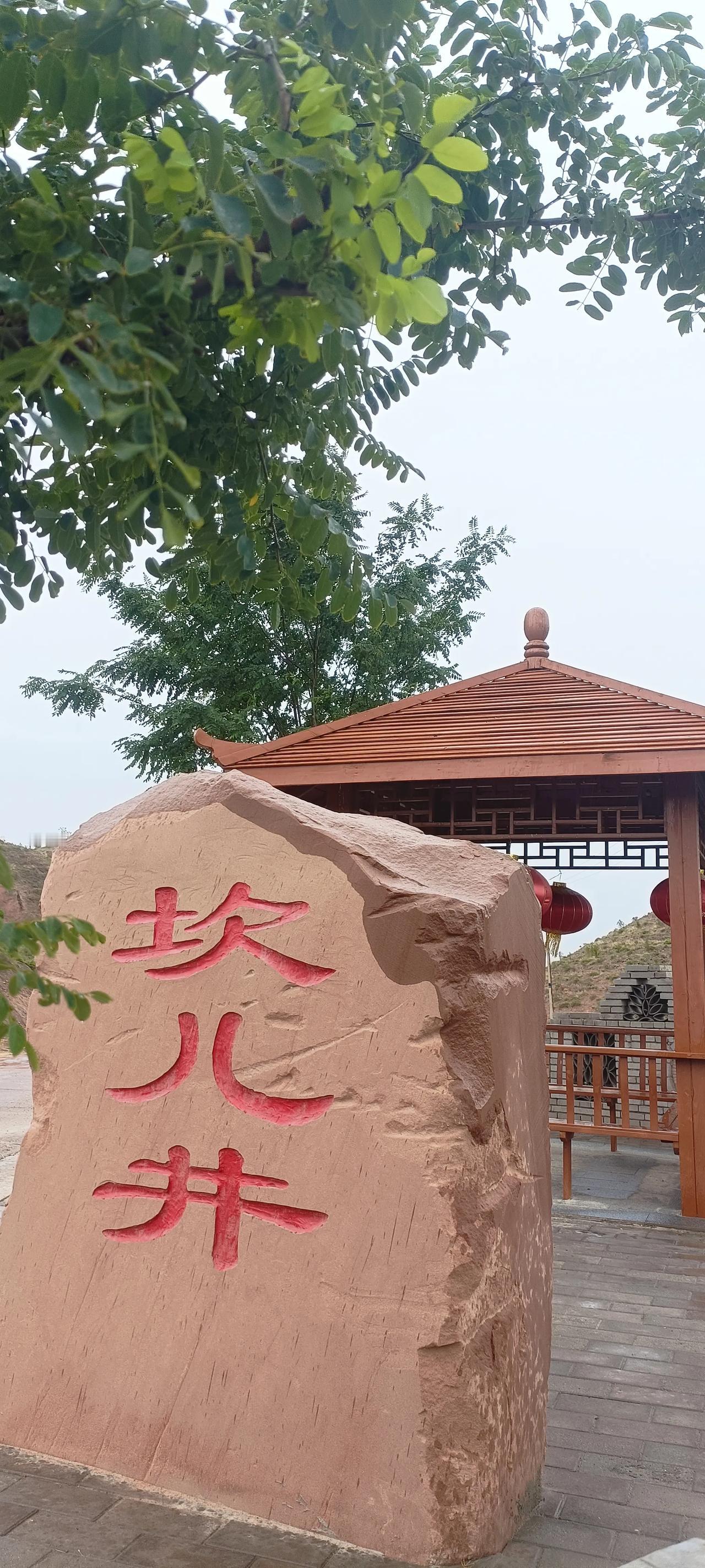 下午专程驱车前去答谢去年曾经给我大黄杏的农户，竟然找不到了，雨中来来回回转了两圈