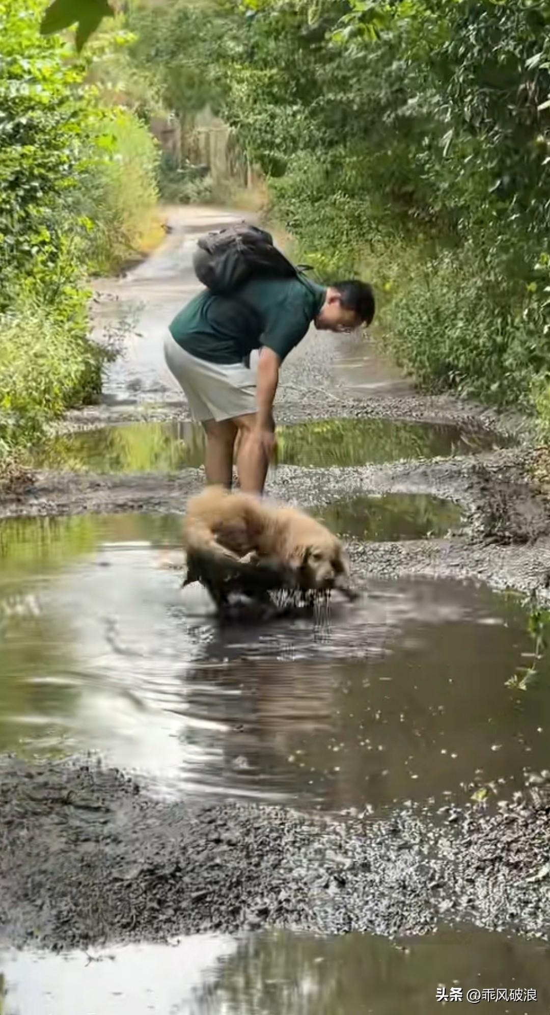 男子领着狗狗在山间小路上走着，途中遇到一摊泥浆水。男子怎么拉扯，狗狗都不肯往前走