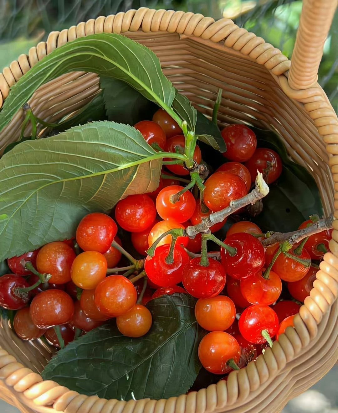 完了，纳指势不可挡飙了，你们有几个家伙卖出的后悔了不？叫你不要动非要动，造孽了吧