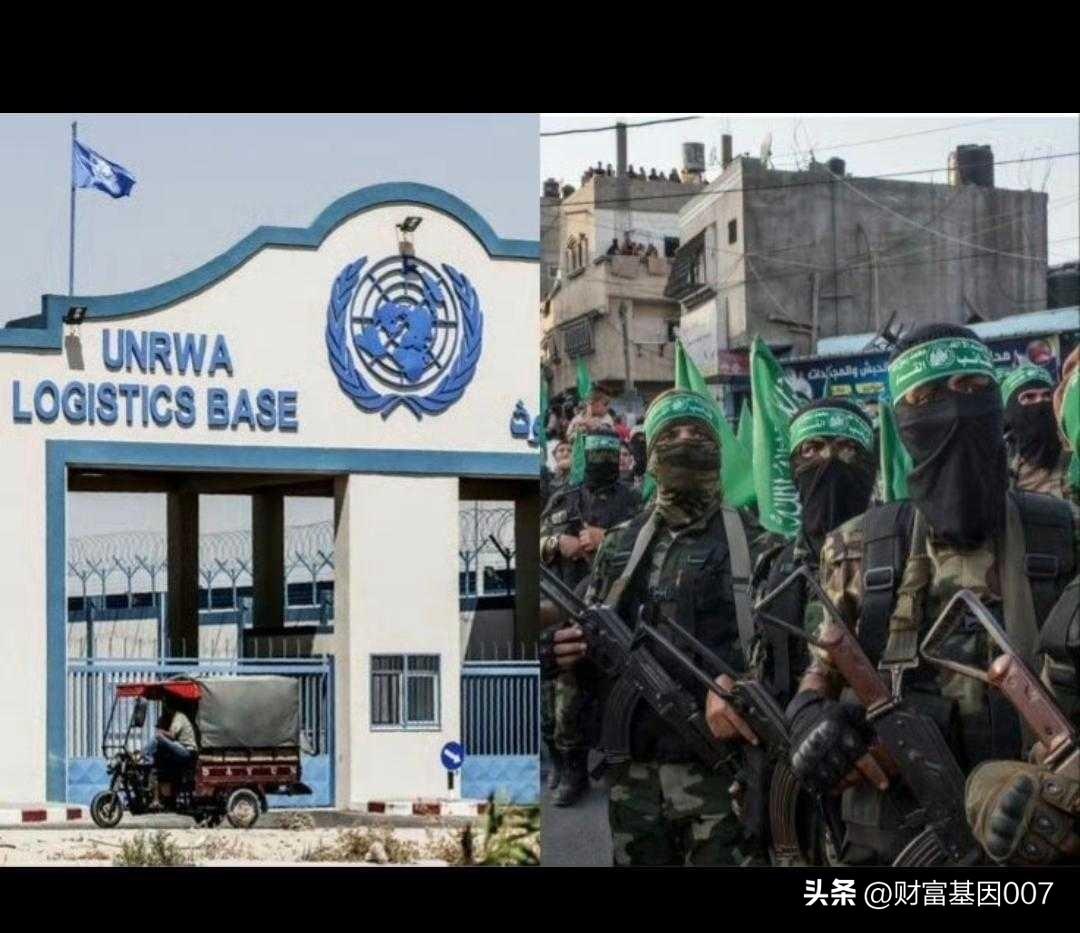 《联合国最大"内鬼"曝光！1500人涉恐，美国要把它列为恐怖组织》


【正文】