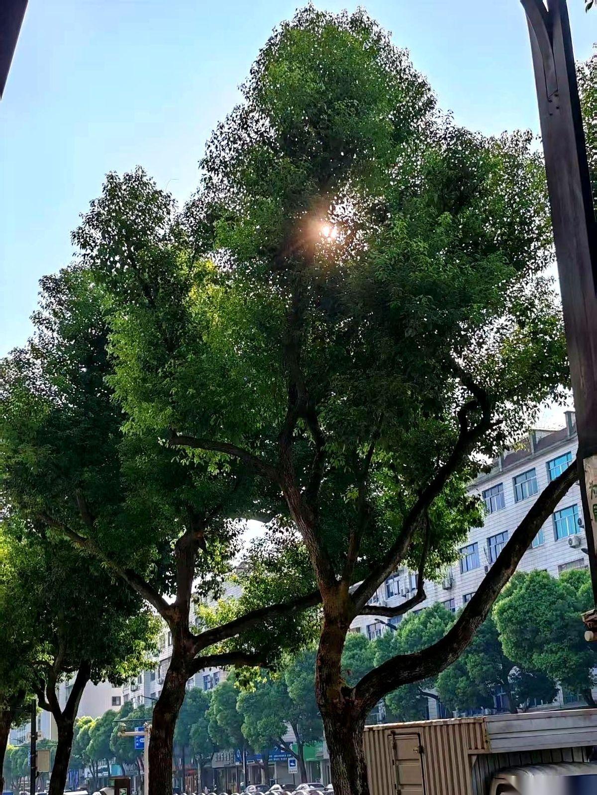 46岁，模范丈夫，一辈子没大声说过话。人没了。死因不是累，而是那个他攒了半辈子钱