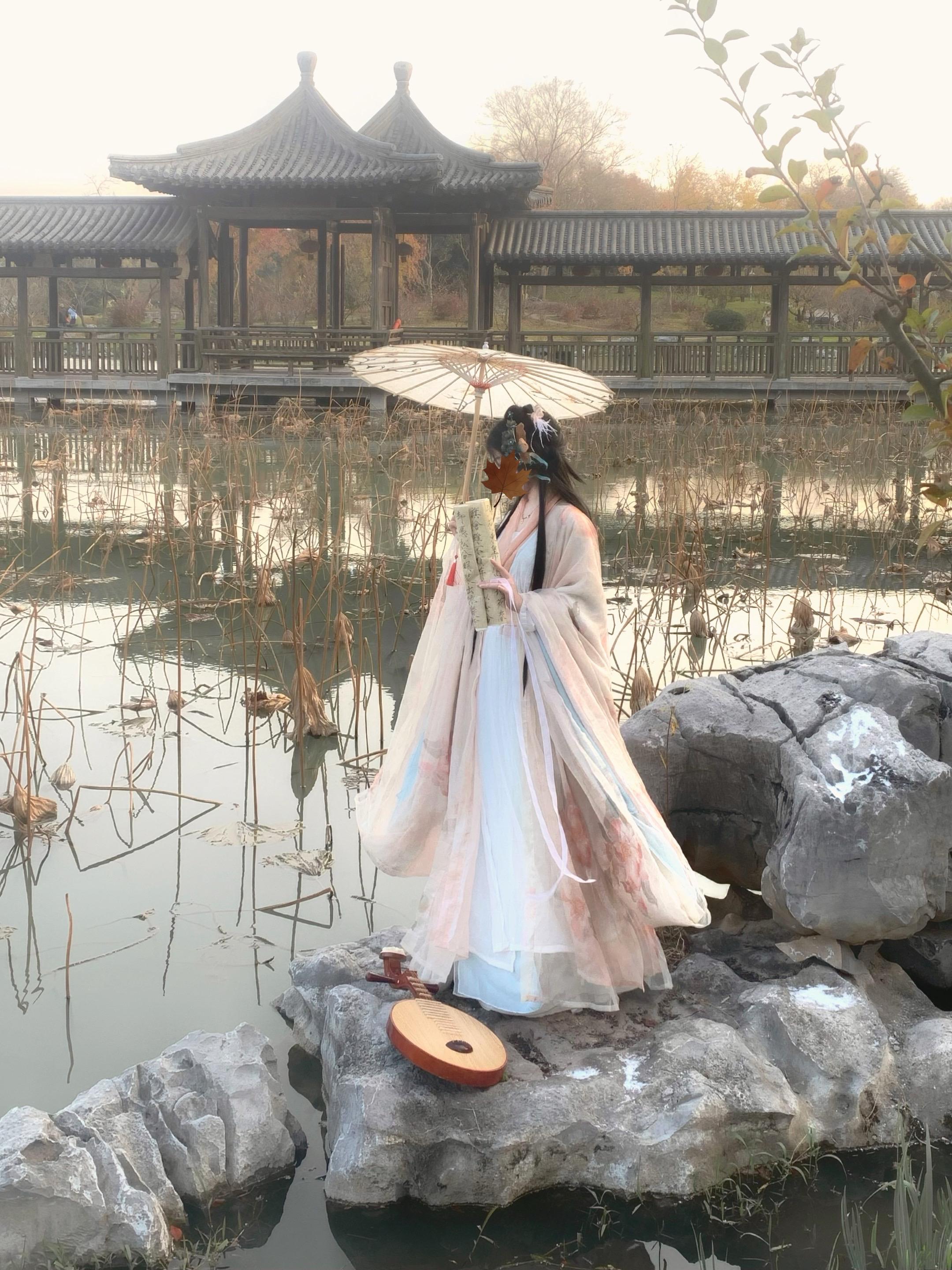 留得残荷听雨声