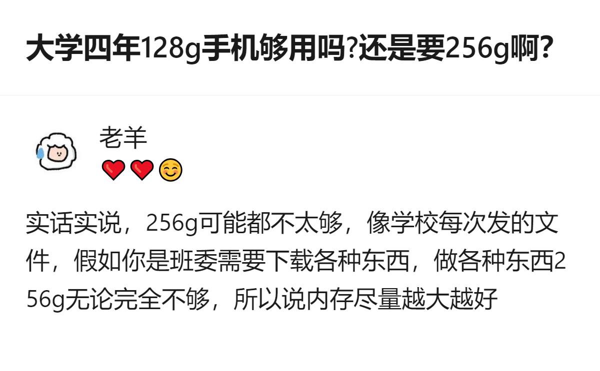 苹果手机用户的真实体验，大学四年256G都可能不够用，尤其是班委要下载各类学校文