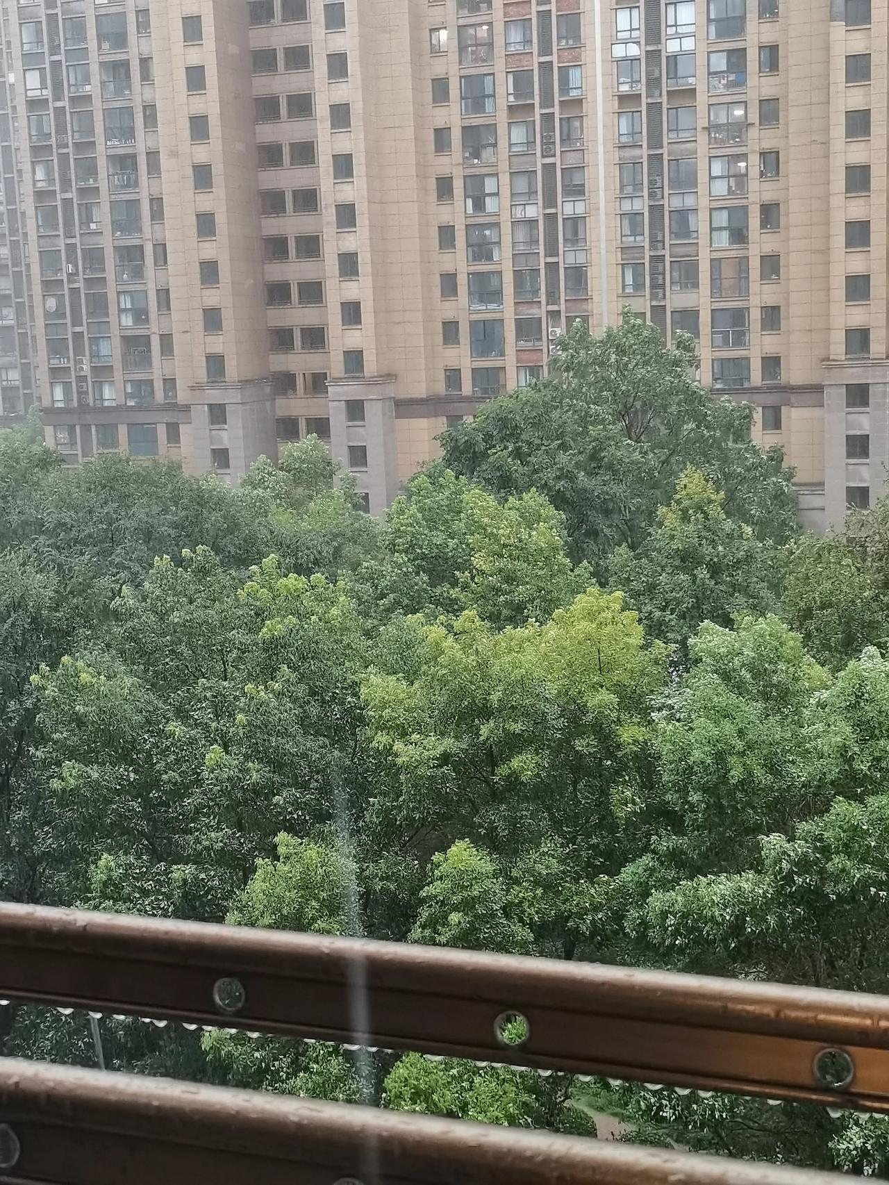 上班路上儿子打来4个未接电话，
到了小老板楼下，
我回了电话问儿子有什么事，
他