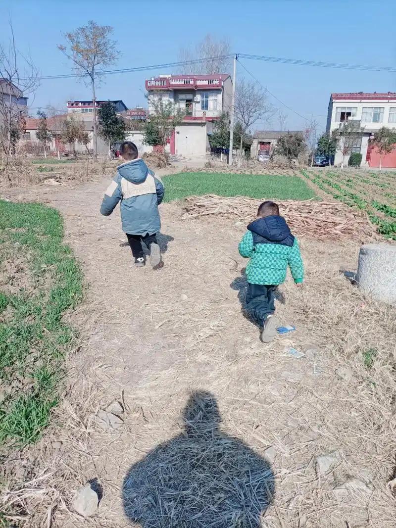 “悲剧还是发生了！”56岁女子，带着3岁和2岁的孙子上山挖红薯，然后让2岁的孙子