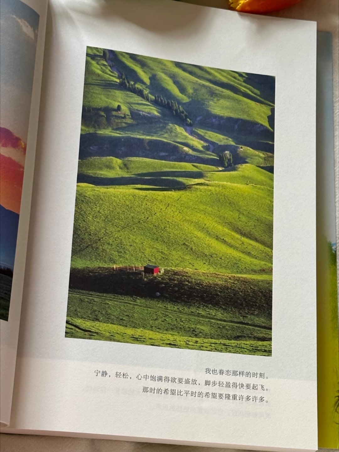 一眼沦陷！！这本书真的太太太治愈了 