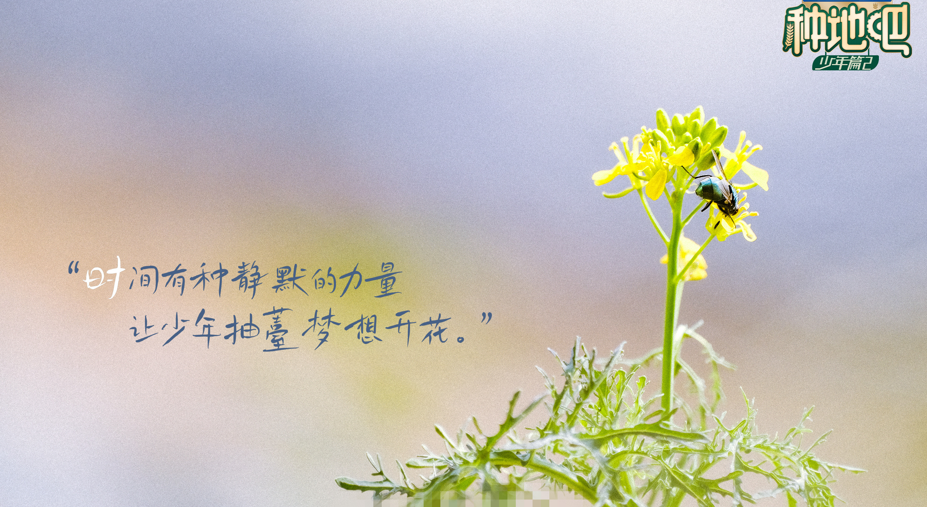 一剧早安 “做大做强不是一瞬间的事情，但我们一定在慢慢进步。”早安~ 