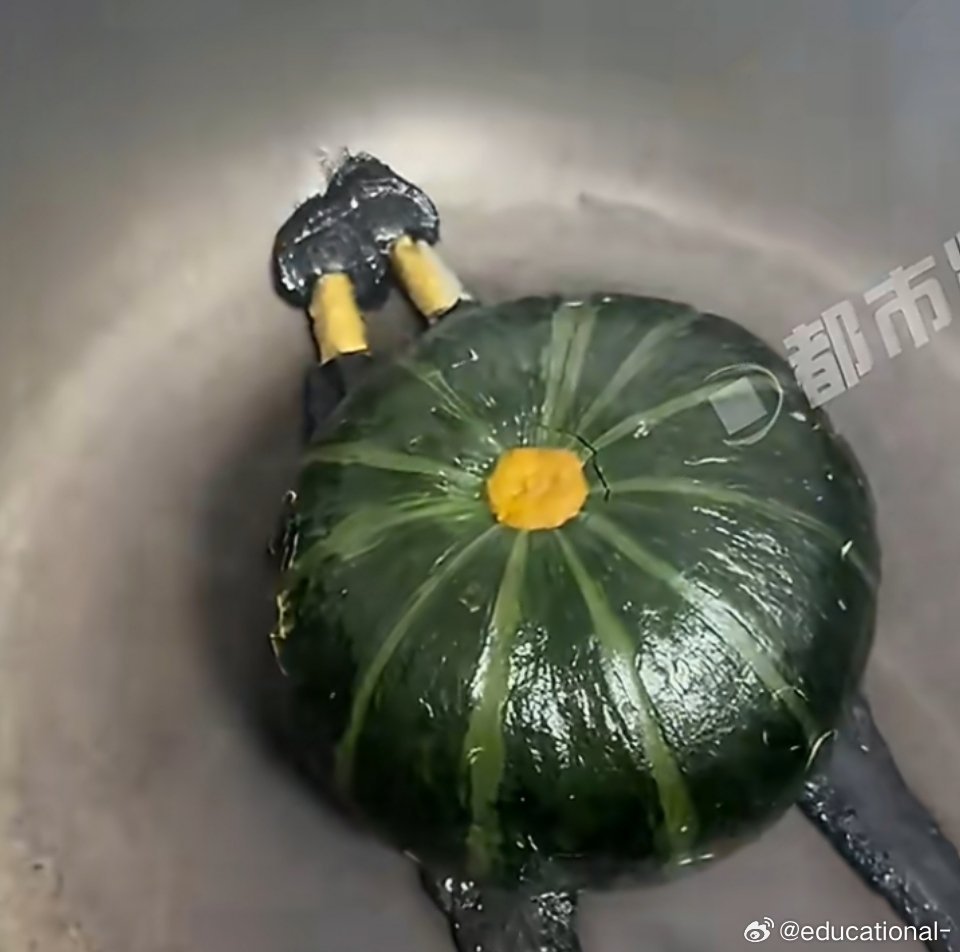 17岁小将爆冷击败世界冠军蒯曼一直觉得中国乒乓球只要解放思想好好选人才，好苗子多