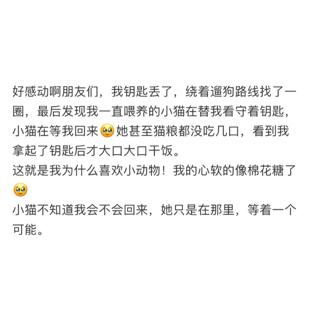 喂养的流浪猫会用行动来表达爱意 ​​​