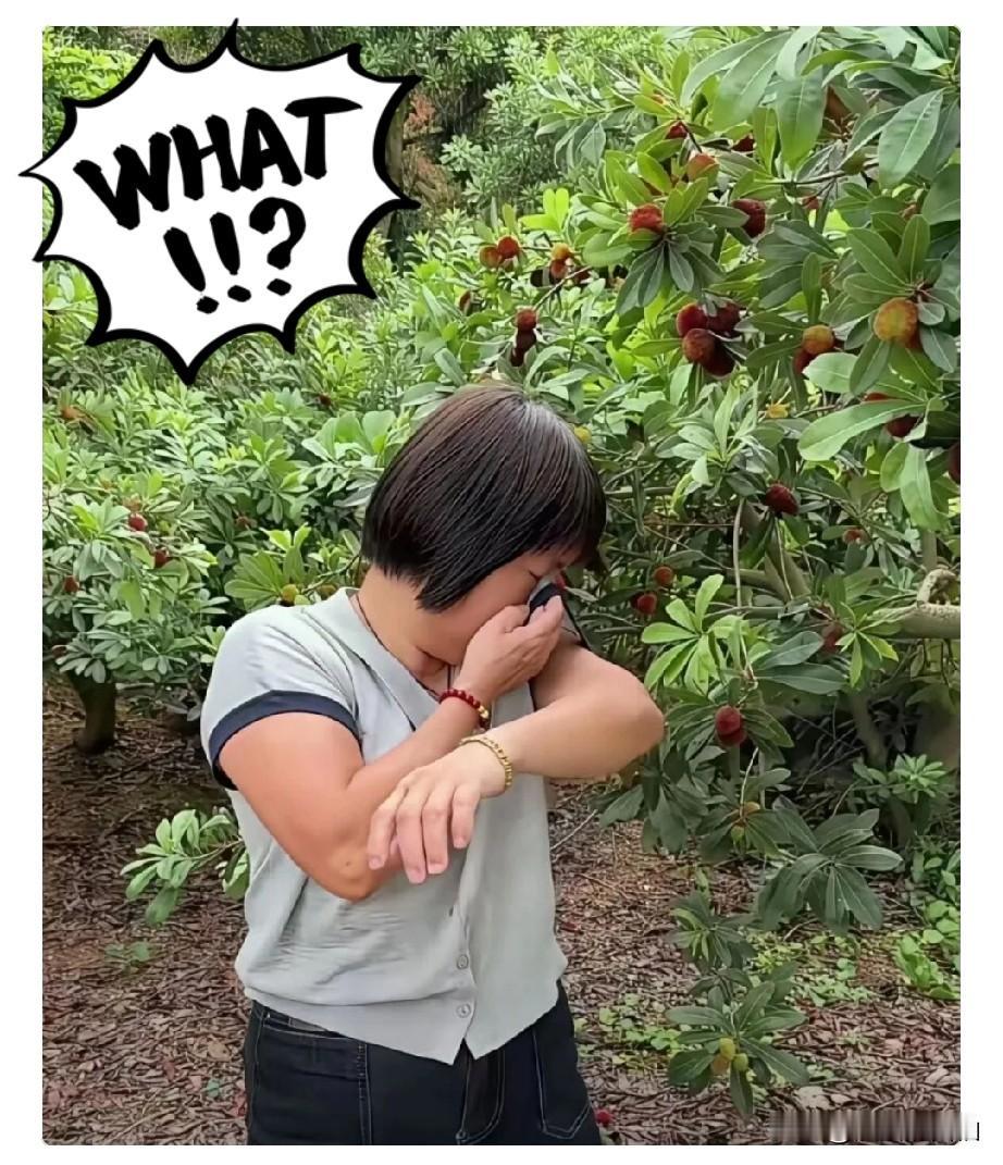 我叔以前就在漳州收杨梅。他跟我说，这次事件曝光后，好多正规收购商不干了，不是不想