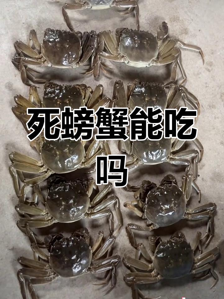 死亡的大闸蟹是否有毒？
       大闸蟹存活时，体内新陈代谢正常，并无大碍。