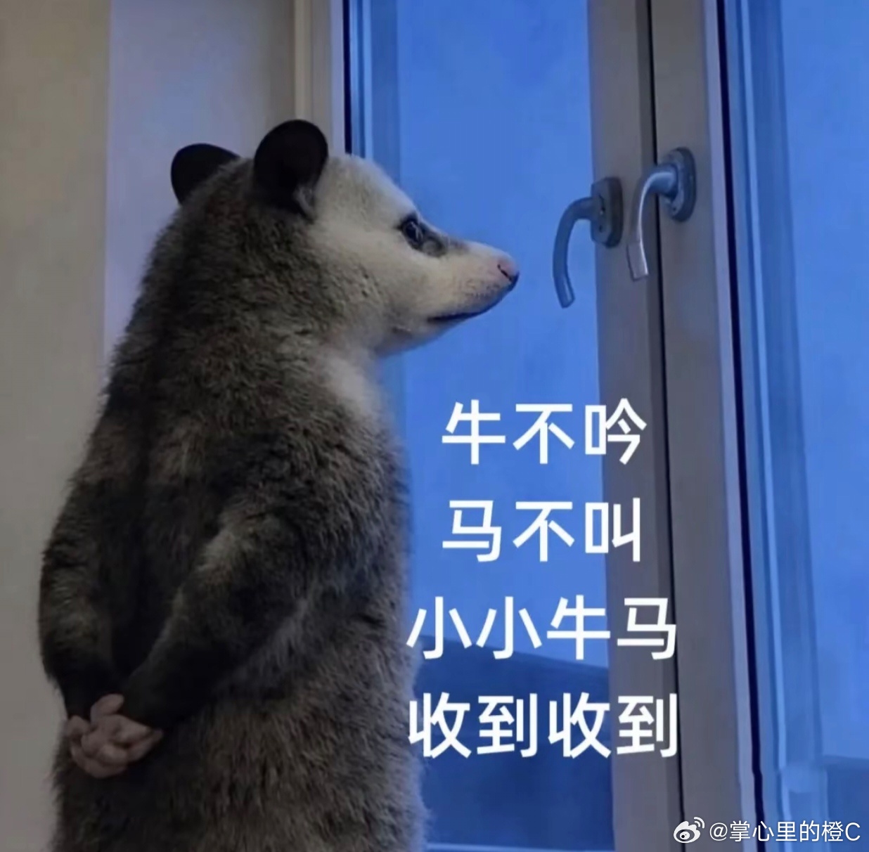 原来请假是不需要理由的跟我说有什么用，只知道不给理由不给假 