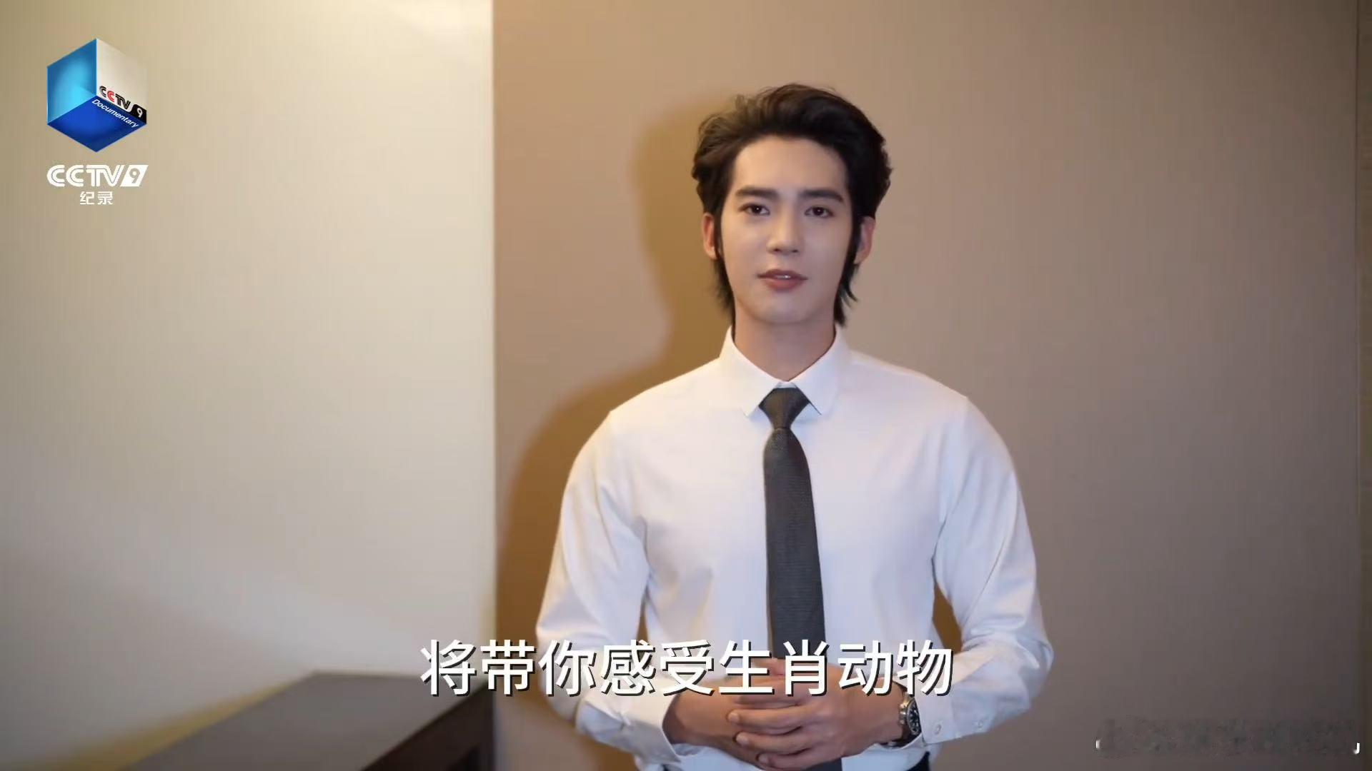 于适为马到功成配音 纪录片中的每一个画面都充满故事感，而于适的声音则为这些画面增