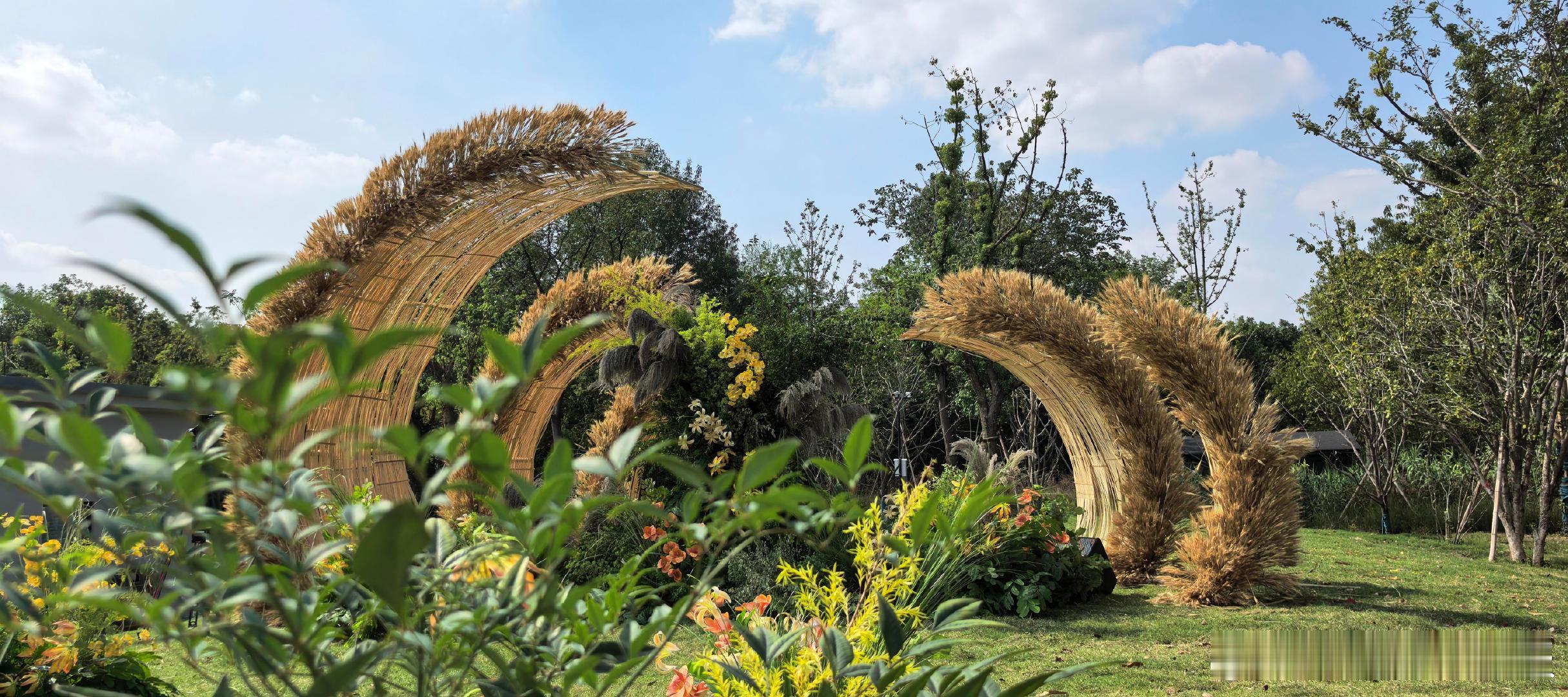 十个勤天参加蒙哥婚礼十个勤天后陡门参加蒙哥婚礼 十个勤天参加蒙哥婚礼，再一次感叹