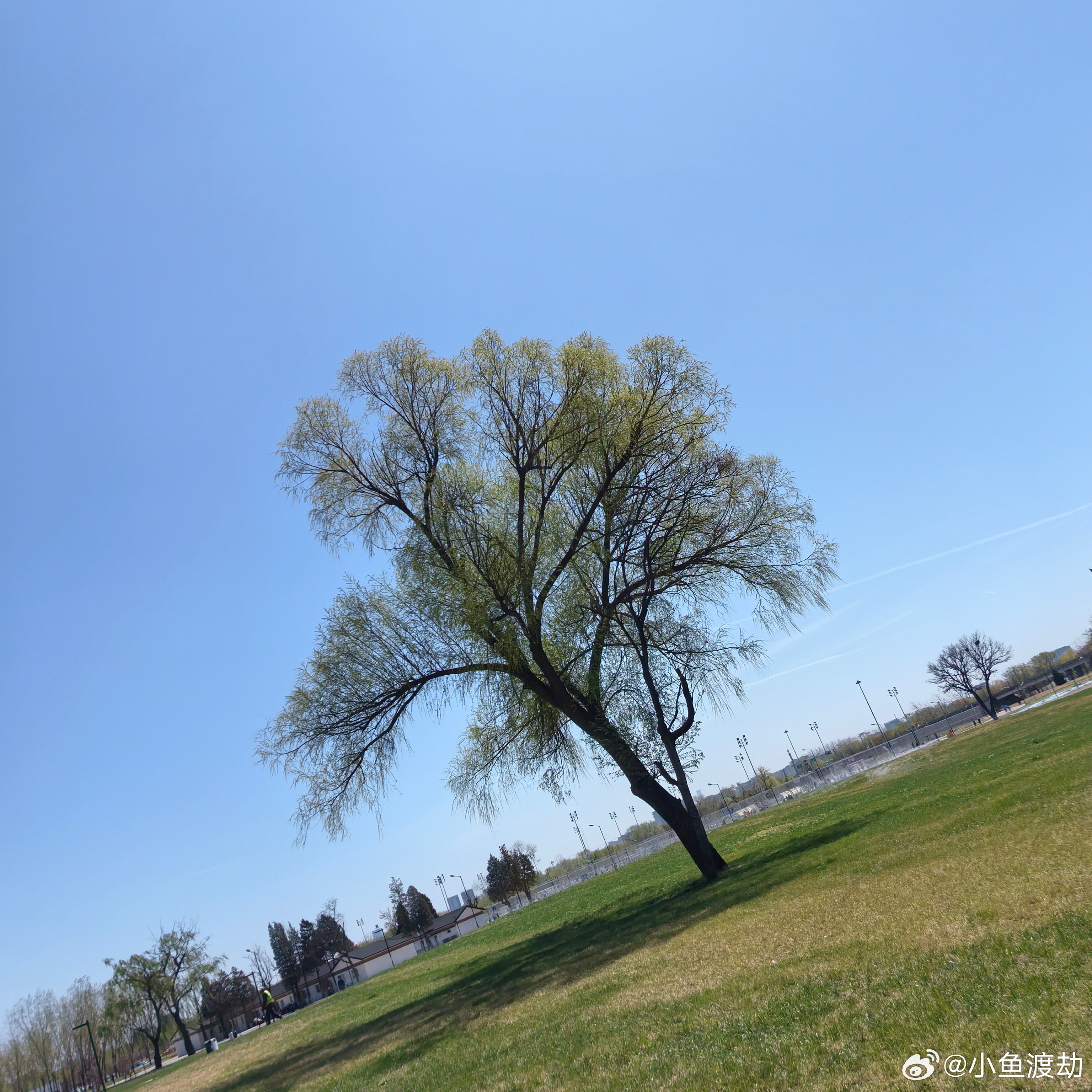 镜子里的练习你有对着镜子练习笑的习惯。嘴角上扬，眼睛弯一下，露出八颗牙齿。你试了