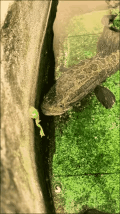 就问你慌不慌吧