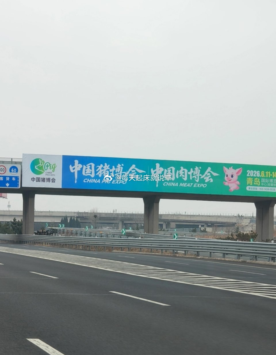 想把我们老板送去去参展，需要什么流程？ 