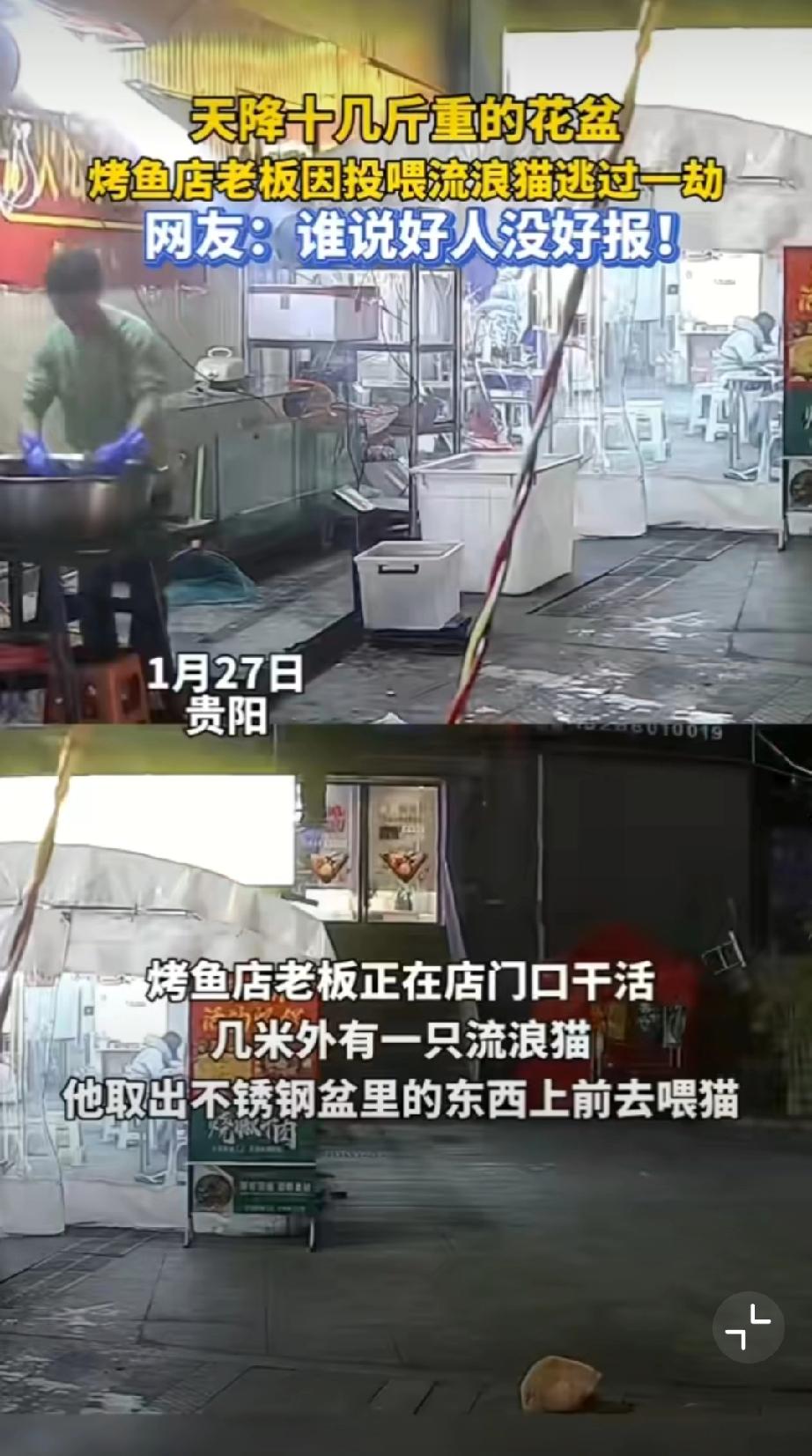 善良的回响，贵州一烤鱼店老板把鱼内脏喂流浪猫，刚离开摊位一个花盆从天而降！不说玄